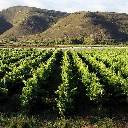 Tanagra Wine & Guestfarm Lejlighed McGregor Eksteriør billede