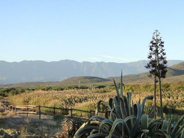 Tanagra Wine & Guestfarm Lejlighed McGregor Eksteriør billede