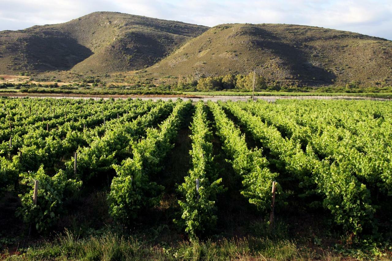 Tanagra Wine & Guestfarm Lejlighed McGregor Eksteriør billede
